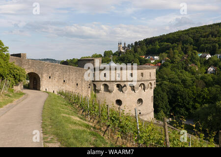 Blick auf die Wallfahrtskirche Kaeppele von der Festung Würzburg Deutschland Stockfoto