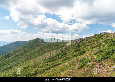 Sommer im Central Balkan National Park in alten Berg (Stara Planina), Bulgarien. Panoramablick auf die atemberaubende Foto. Stockfoto