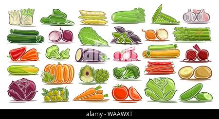 Vektor einrichten von frischem Gemüse, 30 isolierte Design Symbole der vegetarische Gemüse essen, Gruppe von bunten Landwirtschaft Zeichen auf weißem Hintergrund, Illu Stock Vektor