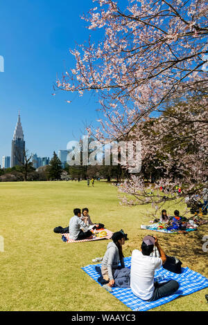 Japan, Honshu, Tokyo, Shinjuku, Shinjuku Goen National Garten, Menschen Picniking unter Cherry Blossom, 30075515 Stockfoto