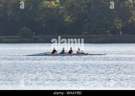 4 Ruderer und Steuermann auf White Rock Lake in Dallas, Texas Stockfoto