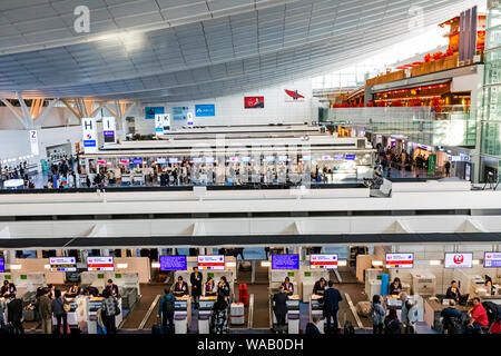 Japan, Honshu, Tokyo, Haneda Flughafen International Terminal, Abreise, Check-in-Schaltern, 30076200 Stockfoto