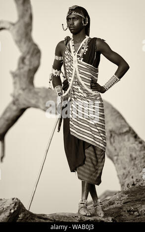 Maasai Krieger mit traditionellen Kopfschmuck und Halskette in Loitoktok, Amboseli National Park, Kenia Stockfoto