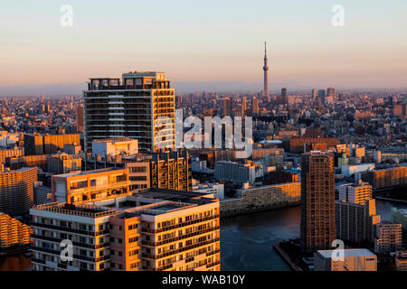 Japan, Honshu, Tokio, Toyosu, Skyline, 30076544 Stockfoto