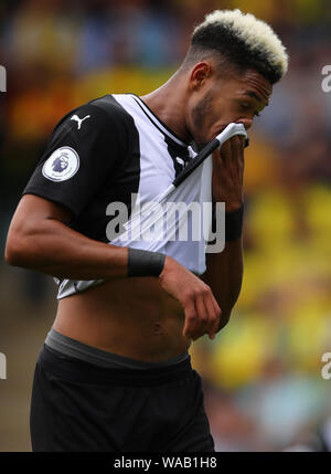 Joelinton des Newcastle United - Norwich City v Newcastle United, Premier League, Carrow Road, Norwich, Großbritannien - 17 August 2019 Editorial nur verwenden - DataCo Einschränkungen Stockfoto