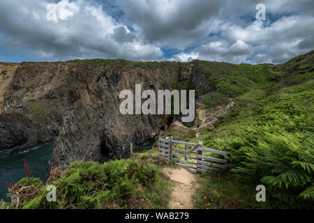 Blick auf die Küste, Felsen, üppige grüne Farne und einem hölzernen Tor auf der Pembrokeshire Coast Path, Wales Stockfoto