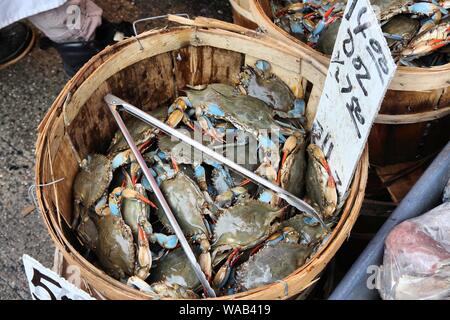 Krabben im Fish store in Chinatown, Lower Manhattan, New York. Meeresfrüchte speichern. Stockfoto