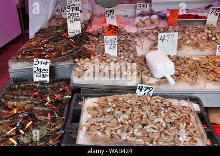 Fischmarkt in Chinatown, Lower Manhattan, New York. Meeresfrüchte speichern. Stockfoto