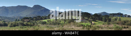 Panorama einer rual Farm unter der Küste von Paraná mit vielen Araucária Bäume (Araucaria angustifolia), auch als Parana Pine bekannt, um. Stockfoto