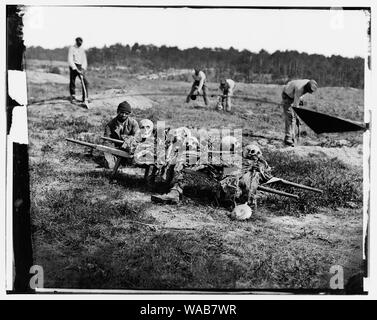 Cold Harbour, Virginia. Afrikanische Amerikaner sammeln Knochen der Soldaten in der Schlacht getötet Abstract: Ausgewählte Bürgerkrieg Fotografien, 1861-1865 Stockfoto