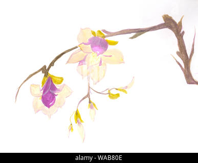 Chinesische Malerei der blühenden Magnolienbaum. Magnolia Blumen auf hellem Hintergrund. Hand gezeichneten Stil drucken. Original Kunst, Aquarell Malerei in Ori Stockfoto
