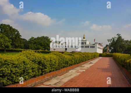 Mayadevi Tempel mit Ashoka Säule und der Reflexion in der heiligen Badeteich in Lumbini Nepal. Stockfoto