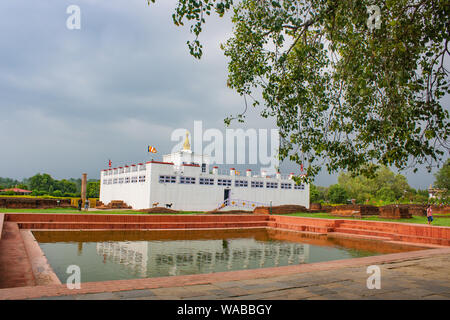 Mayadevi Tempel mit Ashoka Säule und der Reflexion in der heiligen Badeteich in Lumbini Nepal: das Geburtshaus von Herrn Gautam Buddha. Stockfoto