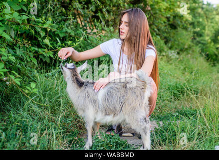 Tiere sind unsere Freunde. Happy girl Liebe Ziege. Dorf Wochenende. Sommertag. Liebe und Schutz der Tiere. kontakt Zoo. Tierarzt Lamm Ziege. Frau Tierarzt Fütterung Ziege. Farm und Landwirtschaft Konzept. Stockfoto