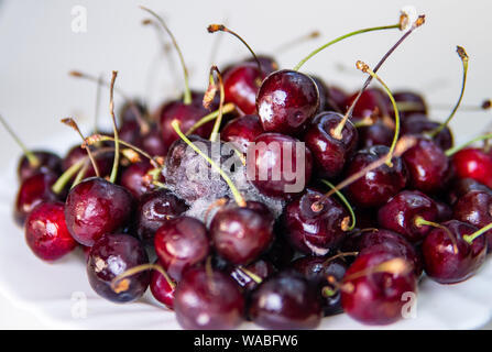 Die Qual sweet cherry aus dem Kühlschrank, verfaulte Früchte. Auf weissem Hintergrund. Schimmelige rote Beere. Tropfen Kondenswasser auf der Haut. Lebensmittelvergiftung Stockfoto