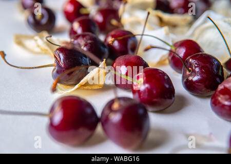 Die Qual sweet cherry aus dem Kühlschrank, verfaulte Früchte. Auf weissem Hintergrund. Schimmelige rote Beere. Tropfen Kondenswasser auf der Haut. Lebensmittelvergiftung Stockfoto