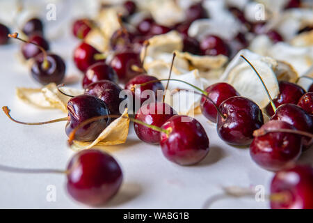 Die Qual sweet cherry aus dem Kühlschrank, verfaulte Früchte. Auf weissem Hintergrund. Schimmelige rote Beere. Tropfen Kondenswasser auf der Haut. Lebensmittelvergiftung Stockfoto