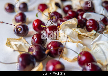 Die Qual sweet cherry aus dem Kühlschrank, verfaulte Früchte. Auf weissem Hintergrund. Schimmelige rote Beere. Tropfen Kondenswasser auf der Haut. Lebensmittelvergiftung Stockfoto