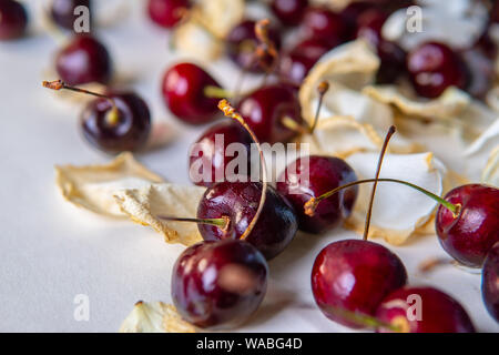 Die Qual sweet cherry aus dem Kühlschrank, verfaulte Früchte. Auf weissem Hintergrund. Schimmelige rote Beere. Tropfen Kondenswasser auf der Haut. Lebensmittelvergiftung Stockfoto