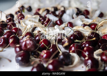 Die Qual sweet cherry aus dem Kühlschrank, verfaulte Früchte. Auf weissem Hintergrund. Schimmelige rote Beere. Tropfen Kondenswasser auf der Haut. Lebensmittelvergiftung Stockfoto