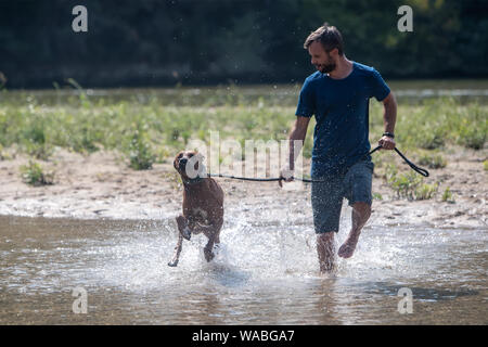 Glückliche junge Mann mit seinem Hund, Spaß haben, Schwimmen im Fluss. Liebe Tiere liebe mein Haustier Stockfoto