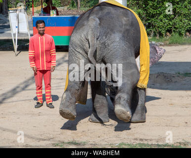 SAMUT PRAKAN, Thailand, 18. Mai 2019 Leistung eines trainierten Elefanten in einem thailändischen Zoo. Die traditionelle Show mit Elefanten auf offener Szene. Stockfoto