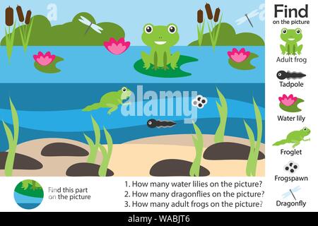 Aktivität Seite, Teich mit Frosch im Comic-stil, finden Sie Bilder und die Fragen, visuelle Bildung Spiel für die Entwicklung der Kinder, Kinder Stock Vektor