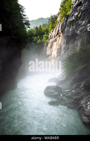 In die Aareschlucht, einen Abschnitt der Aare, die durch ein Kalkstein Ridge schnitzt. Stockfoto