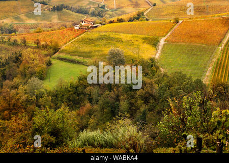 Bunte Herbstlandschaft in Weingärten in Piemont, Italien Stockfoto