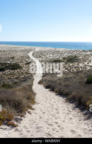 Ein sandiger Pfad führt zum Strand von Aberta Nova (Praia da Aberta Nova) an der Küste von Vicentine, Alentejo, Portugal Stockfoto