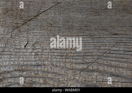 Grunge altes verwittertes Holz Oberfläche. erodierte Holz- Textur, Struktur Stockfoto