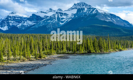 Saskatchewan River Valley - Frühling am Abend Blick auf den schneebedeckten Mt. Sarbach und Schulterstücke Berg am North Saskatchewan River, Banff National Park. Stockfoto