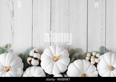 Herbst unterer Rand der weißen Kürbisse und silbernen Blätter über eine rustikale weiß Holz Hintergrund Stockfoto