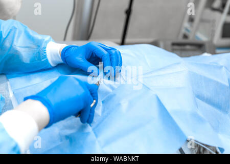 Vet Chirurg assistant Abdeckung hund Patienten durch sterile Abdeckung. die Vorbereitung auf die Berufsbildung chirurgischen Operation. Stockfoto