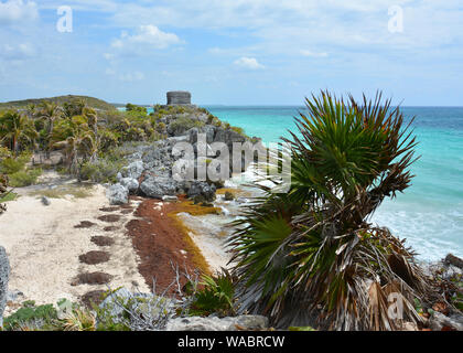 Maya Tempel Mexiko Stockfoto