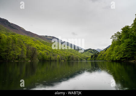 Montenegro, Biogradsko Gletschersee Wasser in Berg Natur Landschaft mit grünen Wald und Bäume im Nationalpark Biogradska Gora Stockfoto