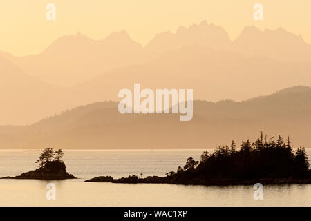 Port Alberni Inlet, Vancouver Island, British Columbia, Kanada Stockfoto