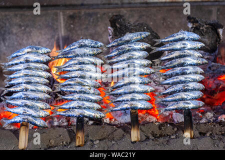 Vorbereitung Spieß von Sardinen in der typischen Restaurant El Tintero, frische Meeresfrüchte, Malaga, Andalusien, Spanien Stockfoto