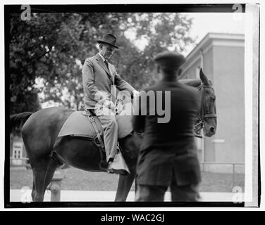 Coolidge zu Pferd, [8/18/23] Stockfoto