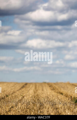 Leipzig, Deutschland. 19 Aug, 2019. Die Wolken bewegen sich auf einem abgeernteten Feld Struktur am Stadtrand von Leipzig. Kredite: Jan Woitas/dpa-Zentralbild/dpa/Alamy leben Nachrichten Stockfoto