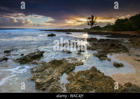 Rock coastal Marine auf einem malerischen Sonnenaufgang mit einem dramatischen Himmel im Hintergrund Stockfoto