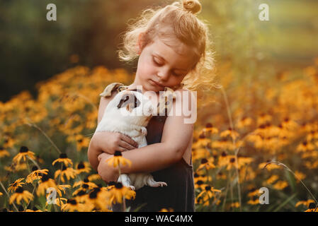 Kleines Mädchen ihr Haustier Meerschweinchen kuscheln in einem Feld von Blumen Stockfoto