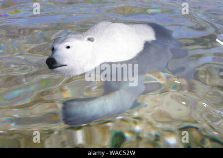 Digitale 3D-Abbildung eines Polar Bear Stockfoto