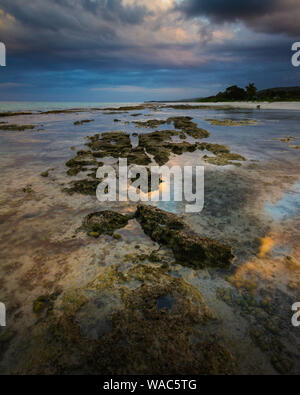 Schöne Seascape der Sonnenuntergang bei Ebbe über die Karibische See. Stockfoto