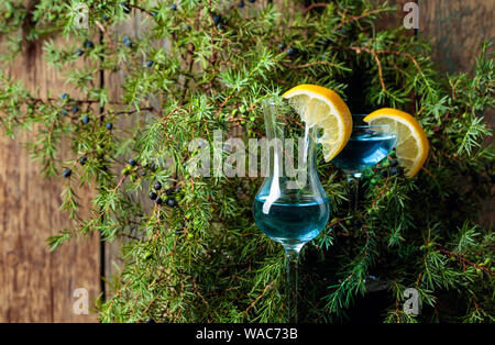 Gläser Blue Gin garniert mit Zitronenscheiben. Blue Gin und Juniper Äste mit Beeren. Stockfoto