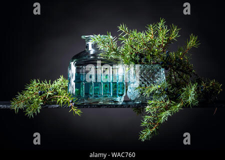 Blue Gin in Kristall Karaffe und Juniper Zweig mit Beeren auf einem schwarzen Hintergrund. Stockfoto