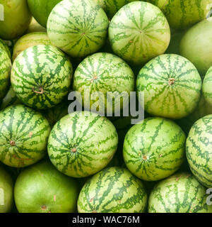 Wassermelone Stockfoto
