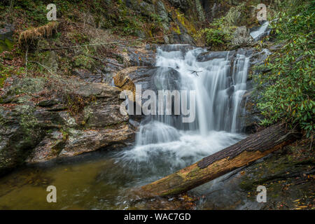 Einen Bach mit einem kleinen Wasserfall fließt hinter mit einer großen ins Wasser an einem bewölkten Herbst Tag Gefallen anmelden Stockfoto