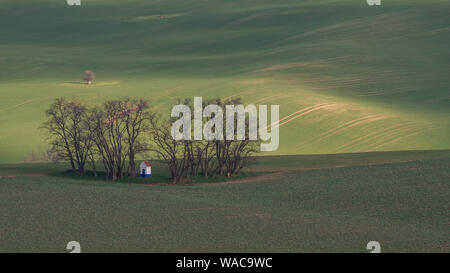 Frühling im Land - eine kleine ländliche Kapelle unter ein paar unfruchtbare Bäume verschachtelt sind, werden diese alle in eine wellige Landschaft mit grünen Wiesen und Feldern. Niedrige sun Stockfoto