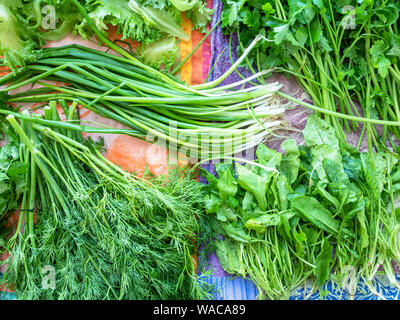 Oben Ansicht von verschiedenen frischen Aroma Kräuter bereit, für das Kochen, Trocknen auf Stoff Stockfoto